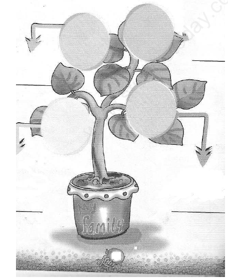 CBSE Class 1 EVS Meet my family and my home Assignment