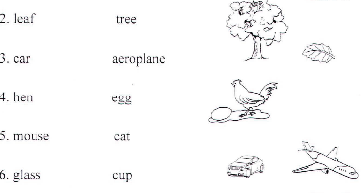 CBSE Class 1 English Assignments (14) - Vocabulary