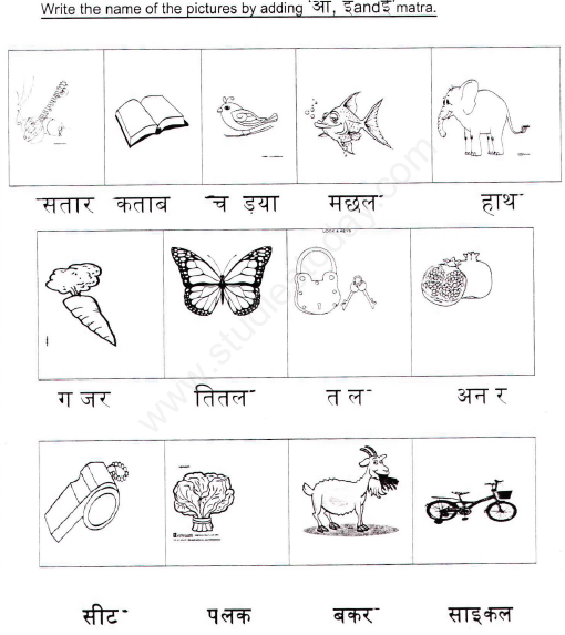 CBSE Class 1 Hindi Grammar Assignment Set A