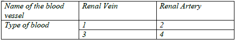 CBSE Class 10 Biology Excretion Set A