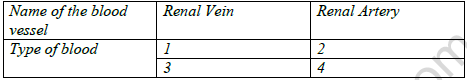 CBSE Class 10 Biology Excretion Set B