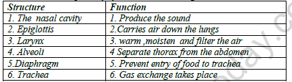 CBSE Class 10 Biology Life Processes Respiration Worksheet Set D 1
