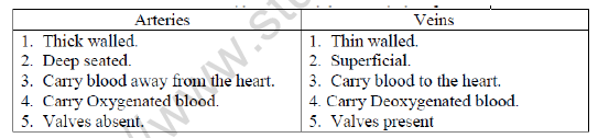 CBSE Class 10 Biology Life Processes Transporation Worksheet Set B 1