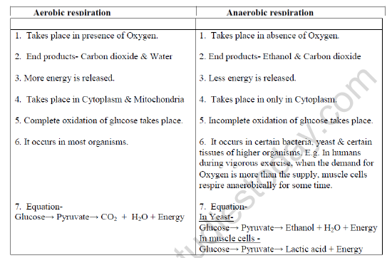 CBSE Class 10 Biology Life Processes Respiration In Animals Worksheet