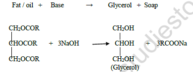 CBSE Class 10 Chemistry Practical Worksheet Set A 1