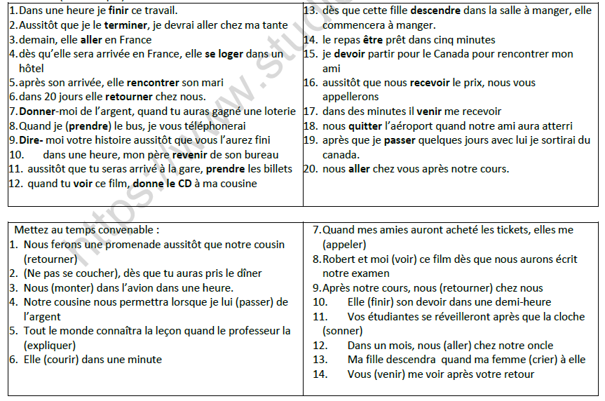 CBSE Class 10 French Futur Antérieur Worksheet 2