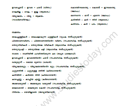 CBSE Class 10 Malayalam Ammathottil Worksheet Set B 2