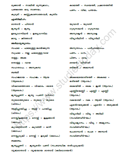 CBSE Class 10 Malayalam Njan Kathakaranaya Katha Worksheet Set B 2