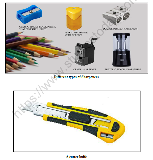 CBSE Class 10 Painting Methods And Materials of Painting Worksheet Set A Solved 2