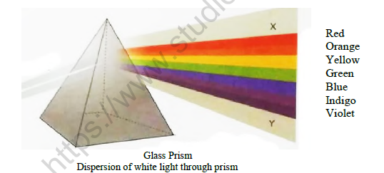 CBSE Class 10 Painting Space Worksheet Solved 2