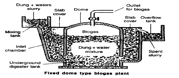 CBSE Class 10 Physics Sources of Energy Study Notes_2