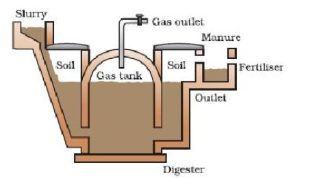 CBSE Class 10 Physics Sources of Energy_1