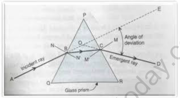 CBSE Class 10 Physics The Human Eye and The Colorful World Worksheet Set F Solved 3