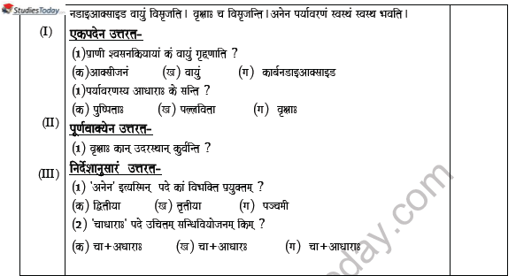 CBSE Class 10 Sanskrit Worksheet Set A Solved 3