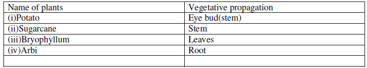 CBSE Class 10 Science Biology How do Organisms Reproduce Assignment