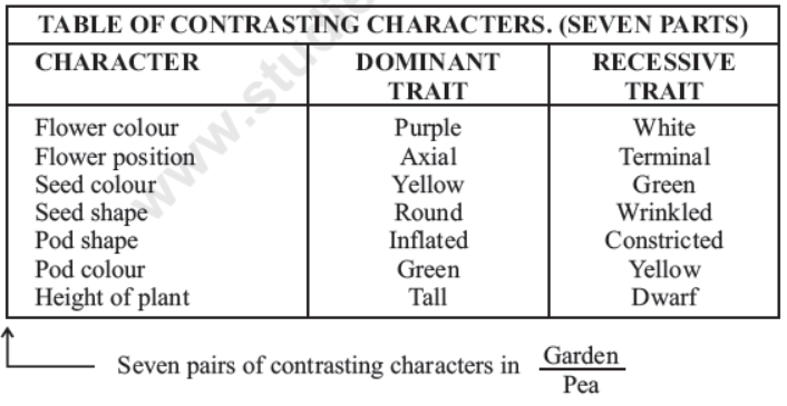 CBSE Class 10 Science Heredity And Evolution Notes Set C