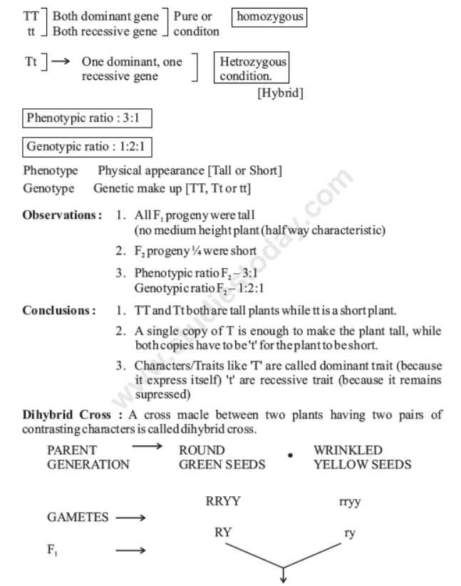 CBSE Class 10 Science Heredity and Evolution