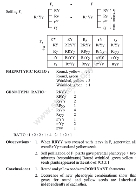 CBSE Class 10 Science Heredity and Evolution