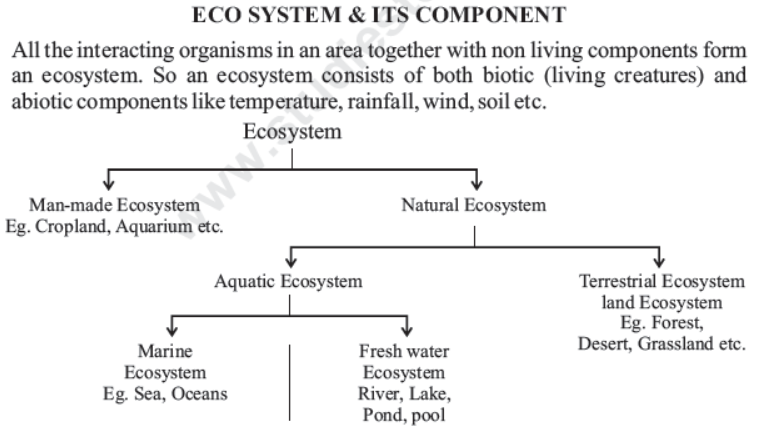 CBSE Class 10 Science Our Environment Notes Set B