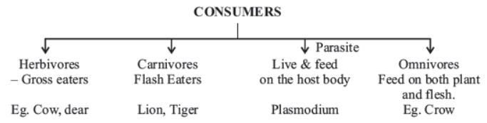 CBSE Class 10 Science Our Environment Notes Set B