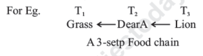 CBSE Class 10 Science Our Environment Notes Set B