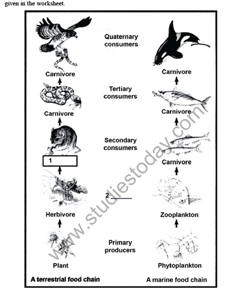 CBSE Class 10 Science Our Environment Sure Shot Questions B