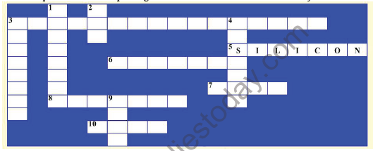 CBSE Class 10 Science Our Environment Sure Shot Questions B