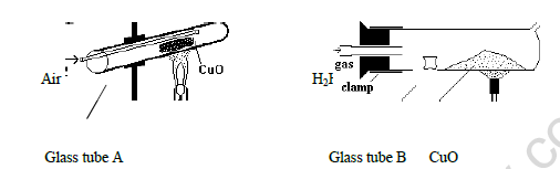 CBSE Class 10 Science Question Paper Solved 2021 Set A