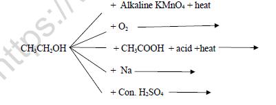 CBSE Class 10 Science Sample Paper Solved 2022 Set A 2