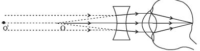 CBSE Class 10 Science The Hyman Eye and the Colourful World