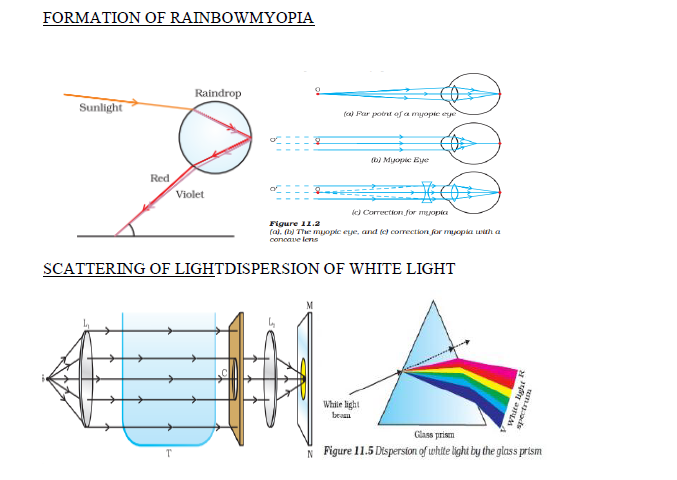 CBSE Class 10 Science-Human Eye And Colourful World