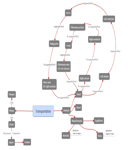 CBSE Class 10 Science-Life Processes