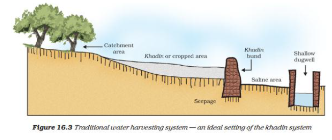 CBSE Class 10 Science-Management Of Natural Resources