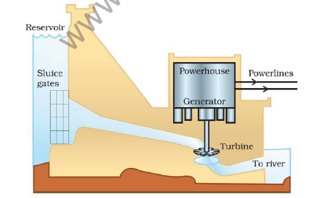 CBSE Class 10 Science Sources of energy Notes