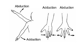 Please click the link below to download CBSE Class 11 Biology Locomotion and Movement Revision Notes.