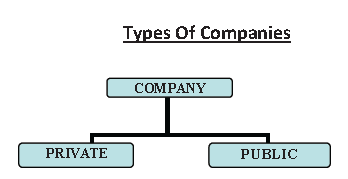 CBSE Class 11 Business Studies - Forms Of Business Organisation Part A