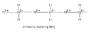 CBSE Class 11 Chemistry Revision Chemical Bonding