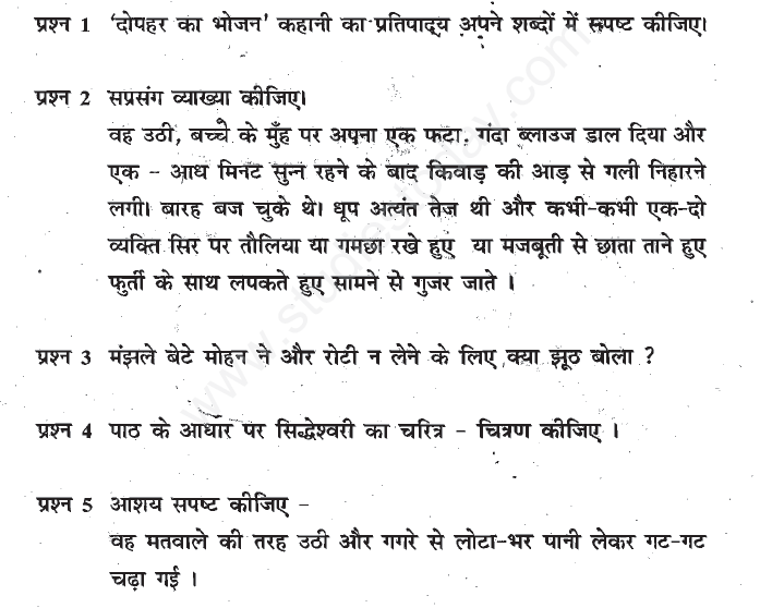 CBSE Class 11 Hindi Kabir Das Sur Das Assignment