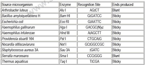 CBSE Class 12 Biology - Biotechnology Principles And Processes