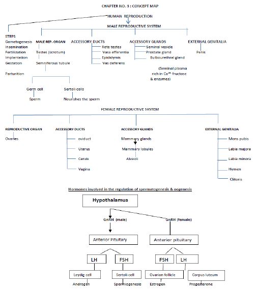 CBSE Class 12 Biology - Cancept Maps for all Biology Chapters