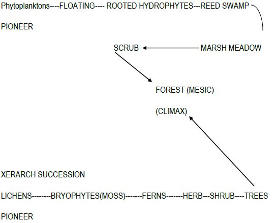 CBSE Class 12 Biology - Ecosystem notes (1)