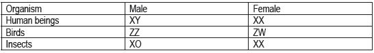 CBSE Class 12 Biology - Genetics