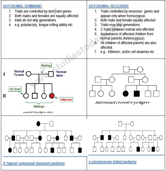 CBSE Class 12 Biology - Genetics