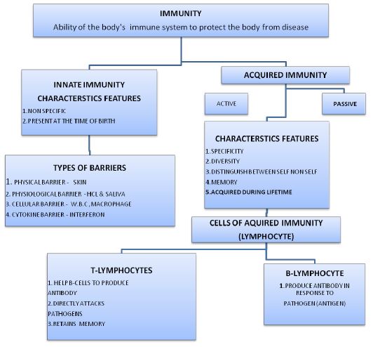 CBSE Class 12 Biology - Human Health And Disease notes