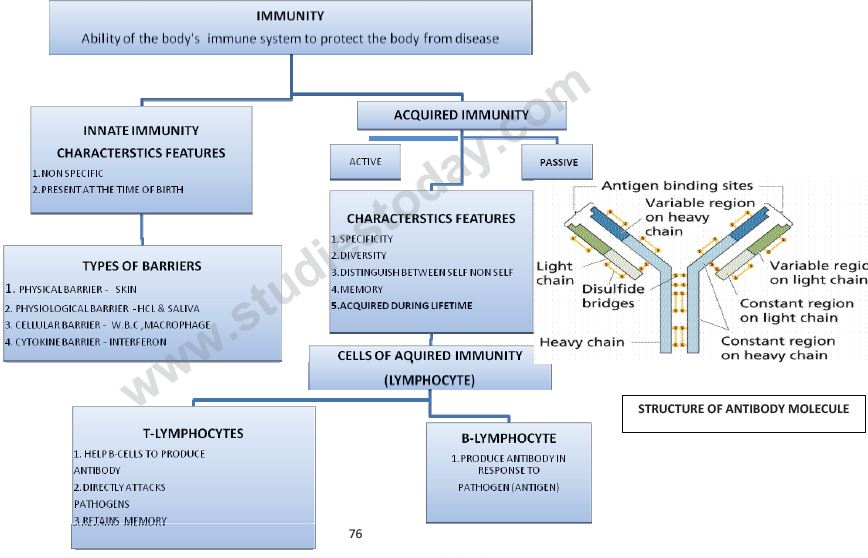 CBSE Class 12 Biology - Human Health And Disease