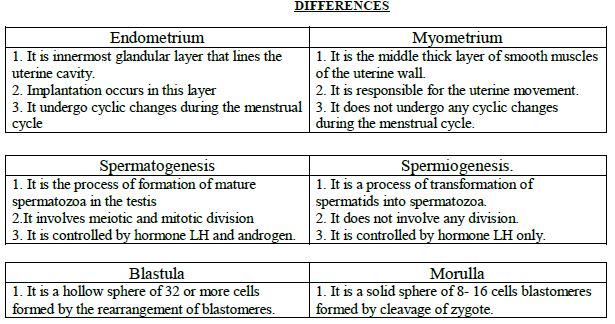 CBSE Class 12 Biology - Human Reproduction Study Guide