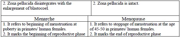 CBSE Class 12 Biology - Human Reproduction Study Guide