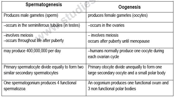 CBSE Class 12 Biology - Human Reproduction_0