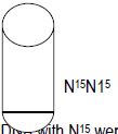 CBSE Class 12 Biology - Molecular Basis Of Inheritance notes