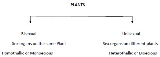 CBSE Class 12 Biology - Reproduction In Organisms notes